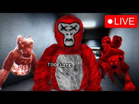 🔴Scary Baboon With Viewers LIVE🔴