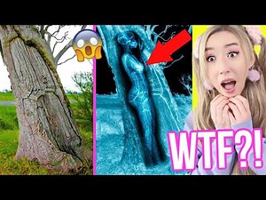 OMG 😱 (IRRE und VERRÜCKTE DINGE die REALITÄT und ERWARTUNG beim FINDEN sprachlos machen)