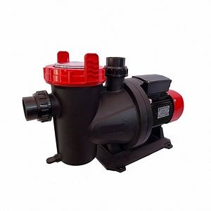 [Hot Item] 30 Years Factory Famous Brand Replacement 1.5HP Pool Pump