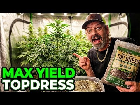 14 Photoperiod Plants Top Dressed for Maximum Yields #MarsHydro