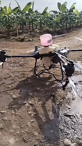 A proper view of an agricultural drone at work on a plantain farm – modern farming made easy, fast, and efficient. #DroneFarming #SmartAgriculture #PlantainFarming #AgriTech #MiaKiaFarms #FutureOfFarming | Felix Abe