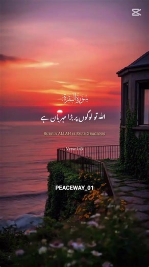 Surah Baqarah 143 Peace Way #shorts #viralshorts