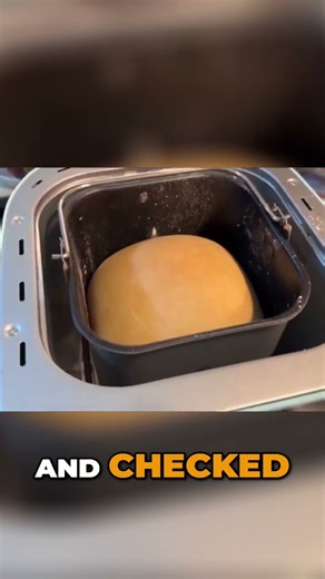The SHOCKING Truth About TSA's Bread Machine Policy