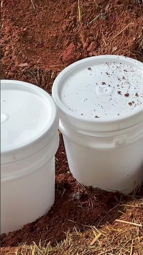 This is how we built nesting boxes for our rabbits