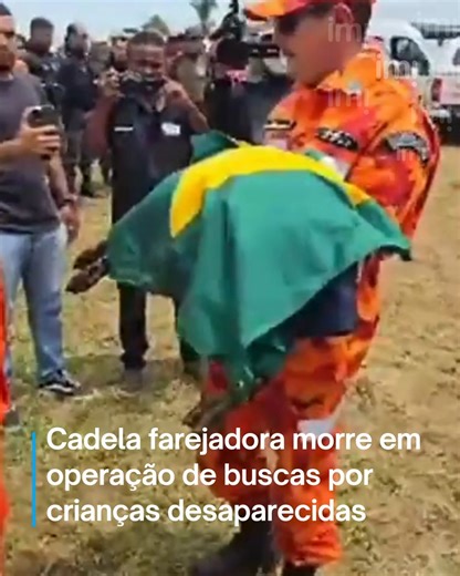 Imirante on Instagram: "Morreu, na madrugada desta quinta-feira (15), uma cadela identificada como Iara, que integrava a equipe do Corpo de Bombeiros do estado do Ceará e estava na força-tarefa de buscas pelas crianças desaparecidas no município de Bacabal, no Maranhão. Segundo informação dos militares, o animal faleceu no momento em que se deslocava para a operação de buscas na cidade maranhense. De acordo com o Corpo de Bombeiros Militar do Ceará, Iara apresentou sintomas de torção gástrica já