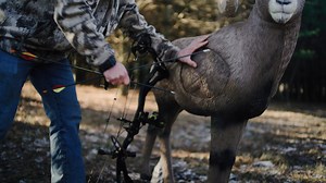 2.8K views · 21 reactions | Who's ready to get their shots dialed in this year?  #rinehart #rineharttargets #archerytarget #archerypractice #practice #bowhunting #archery #archerylife | Rinehart Targets | Facebook