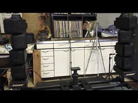 bose 403 professional speaker system