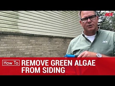 How To Remove Green Algae From Siding - Ace Hardware