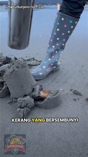 Here are the tricks to catch clams easily #fishing #funfishing #catching clams #clams