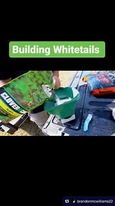 Bringing it all together | Real World Wildlife Products