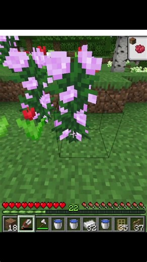 Take flowers to plant. #minecraft #shorts #minecraftshorts