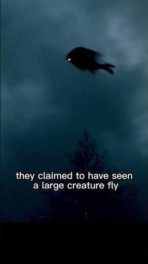 Monster Story | The Legend of Mothman: A Mythical Creature of Point Pleasant