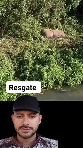 167K views · 1.2K reactions | Tinha uma corda enrolada na capivara #postviralシ | Tutorial da Pesca | Facebook