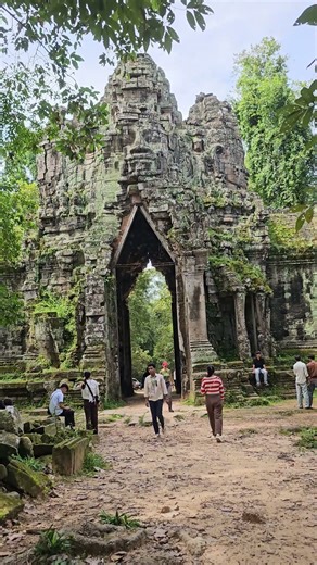 Ghost Gate 🌿😍 #nature #temple #travel #cambodia