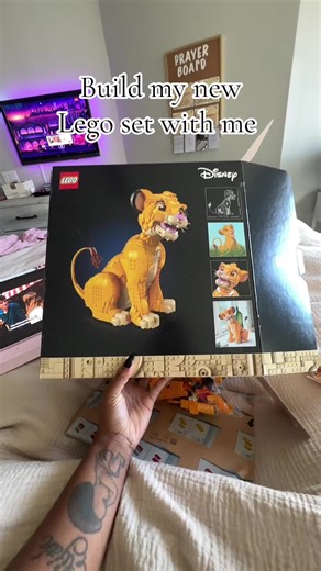 Building My New Lego Set