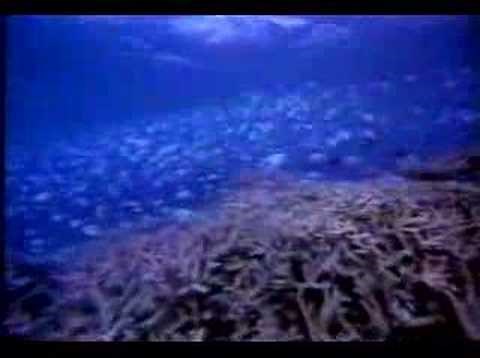 alternate scene (deleted) of The Blue Lagoon