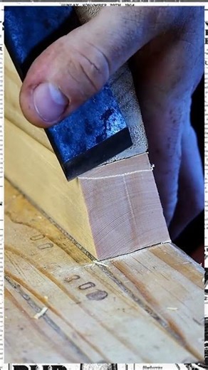 Wood Chisel Safety Tips Guide #shorts #woodworking #wood #tools #tips