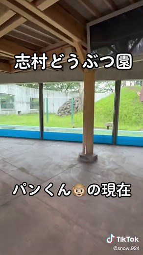 パンくん🐵の現在 - 志村どうぶつ園