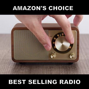 Get in style with WR-7's elegant solid wood cabinet Bluetooth speaker with radio FM tuner and Vernier Tuning. Get yours now! | SANGEAN | Facebook