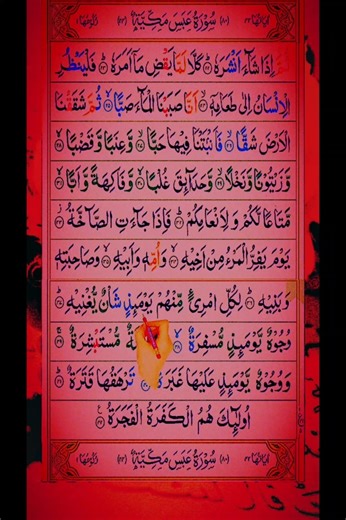 surah Al abas part 4# daily Quran Media # world best recitation #