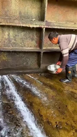 Fishing in Vietnam: A Comprehensive Guide