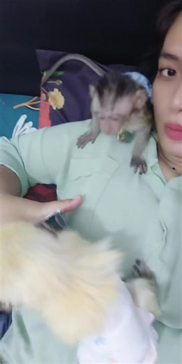 Ngemil Sore Bersama Bule di TikTok Live