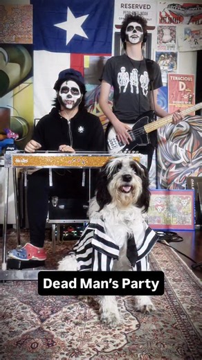 Pedal Steel Noah on Instagram: "Dead Man’s Party by Oingo Boingo 💀 Happy Halloween y’all! I’m so excited to get down and party tonight!✨ #happyhalloween #teamshobud #steelguitar #oingoboingo"