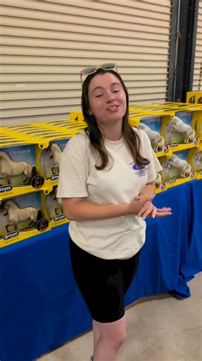 14K views · 457 reactions | Have you ever “handpicked” a Breyer model? Every model we make is handpainted, which means that no two are exactly alike. There are sublte differences in each horse’s coat color and shading that makes each one unique. With dozens of the same model to choose from in the Breyer Store, #BreyerFest2024 is the perfect spot to try handpicking your Breyer model! | Breyer Model Horses | Facebook