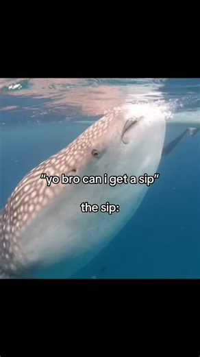 Minecraft Music Inspired Meme Ideas