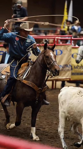 11K views · 234 reactions | Wrangler Western Resistol Western Solutions Insurance Cactus Saddlery Starpro Roofing & Sheet Metal, Inc. | Blake Deckard Roping | Facebook