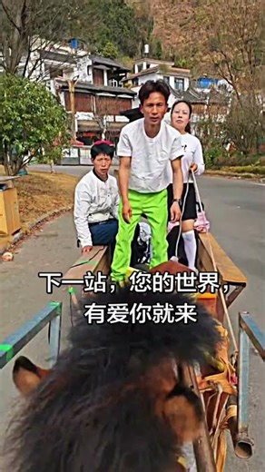 Join Us for a Scenic Free Ride: Real Folk Carriage Adventure