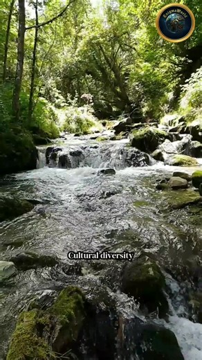 India’s Culture & Diversity ✨ #India #Culture #Diversity #Reels | EnigmaWorld | Facebook