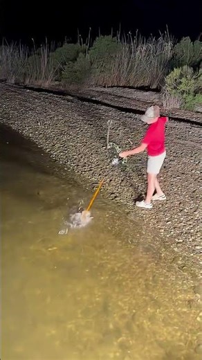 Is it true #shortsfeed #trending #viral