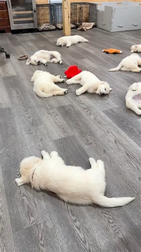 Clean up on aisle 3! 🧹😂