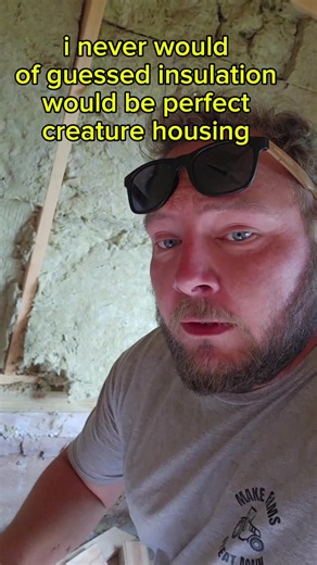 Do They Stay or Do They Go? Bees on an Off-Grid Homestead