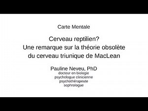 Psychologie – La théorie obsolète du cerveau triunique – Dr Pauline Neveu