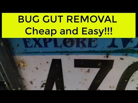 How to Clean Bugs Off Your Car - Cheap and Easy!