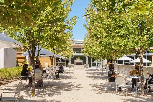 Januik Winery | Novelty Hill Winery | Andrew Januik Wines | WA Wines