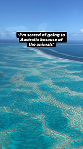 Myth: Australia is crawling with deadly animals. The Reality? You’ll mostly see idyllic beaches, modern cities, and so much more! We’ve spent nearly two years travelling around Australia, and we’ve only encountered a few snakes and spiders in that time. That’s not to say scary creatures aren’t around, but it’s no reason to miss out on all the incredible experiences Australia has to offer. #AustraliaTravel #australiatrip #australianwildlife | Something of Freedom