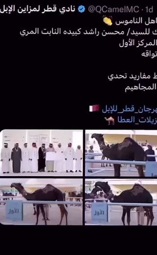 حسابات مقترحة