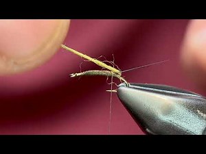 Wooly Baetis Variant