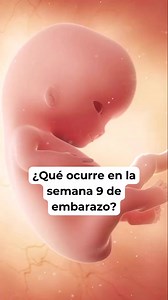 🤔 ¿Qué ocurre en la semana 9 de embarazo? 🤰 Síntomas y desarrollo del bebé #embarazosemanaasemana #embarazo #embarazosaludable #embarazofeliz | Blog del bebé