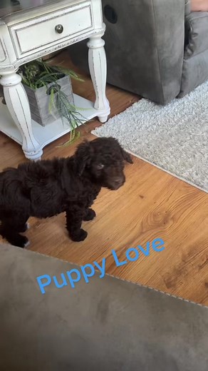 Kimberly Beck on TikTok