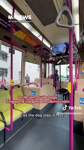 Understanding the Role of Guide Dogs in Public Spaces