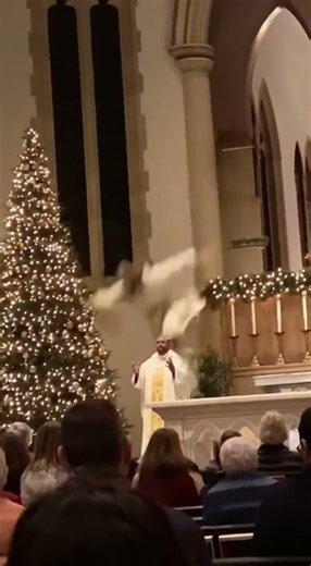 Church Camera Captures the MOST Unexpected Christmas Moment 😳