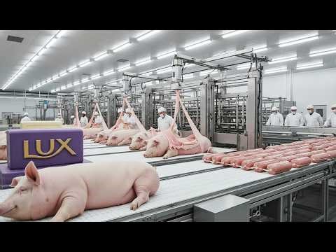 Inside the Massive Pork Processing Factory | From Pig to Luncheon Meat & Soap Production