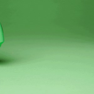 Blob Turtle - articulated fidget art toy