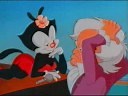 Dot Warner AMV