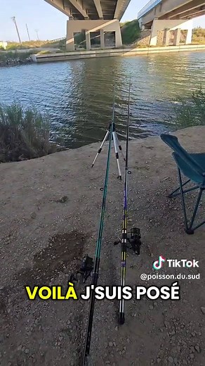 Pêche au Canal: Techniques et Astuces