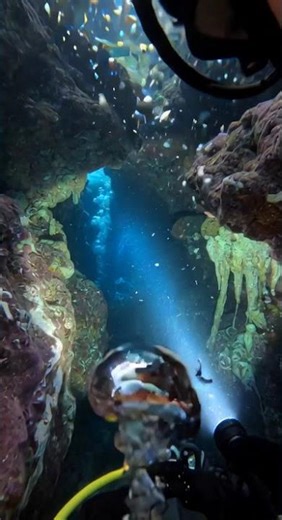 The Scariest Underwater Cave Ever